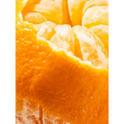 Citrus Crush - Smart Vial (Illume)