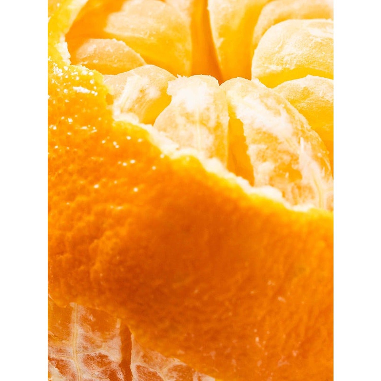 Citrus Crush - Smart Vial (Illume)