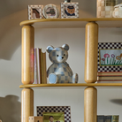 Sky Bear Bank