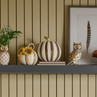 Chocolate Stripe Medium Pumpkin